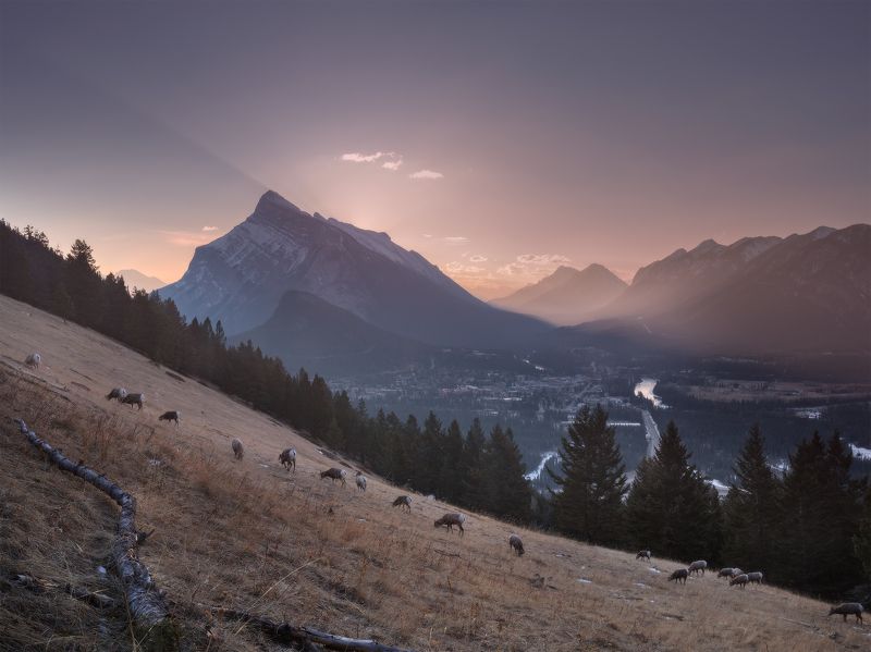 ВОСХОД НАД БАНФФОМ фото превью