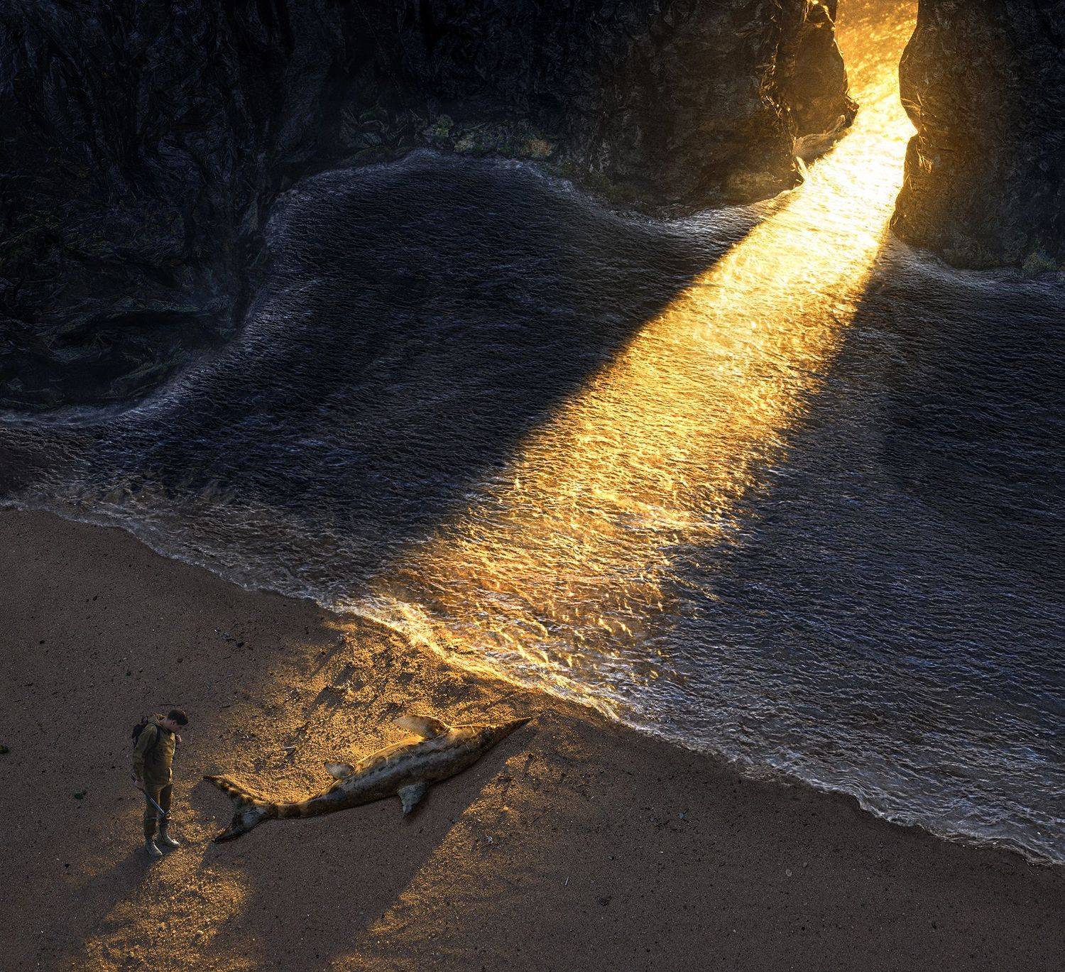 Автор: Парышков Сергей parishkov, постановочная, фотография, ихтиозавр, закат, залив, природа, атмосфера, парышков, диорама, , Парышков Сергей