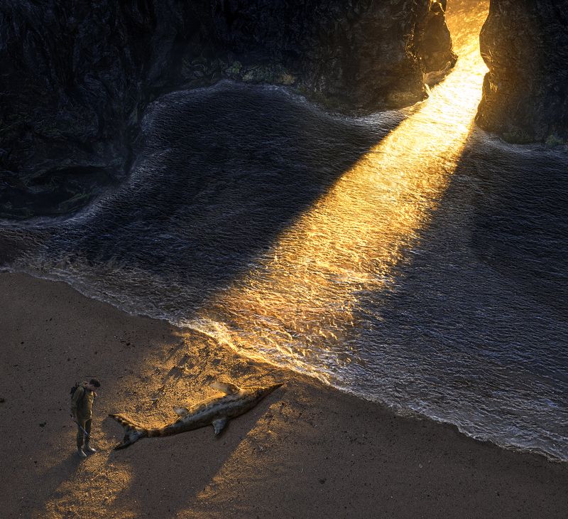 parishkov, постановочная, фотография, ихтиозавр, закат, залив, природа, атмосфера, парышков, диорама,   photo preview