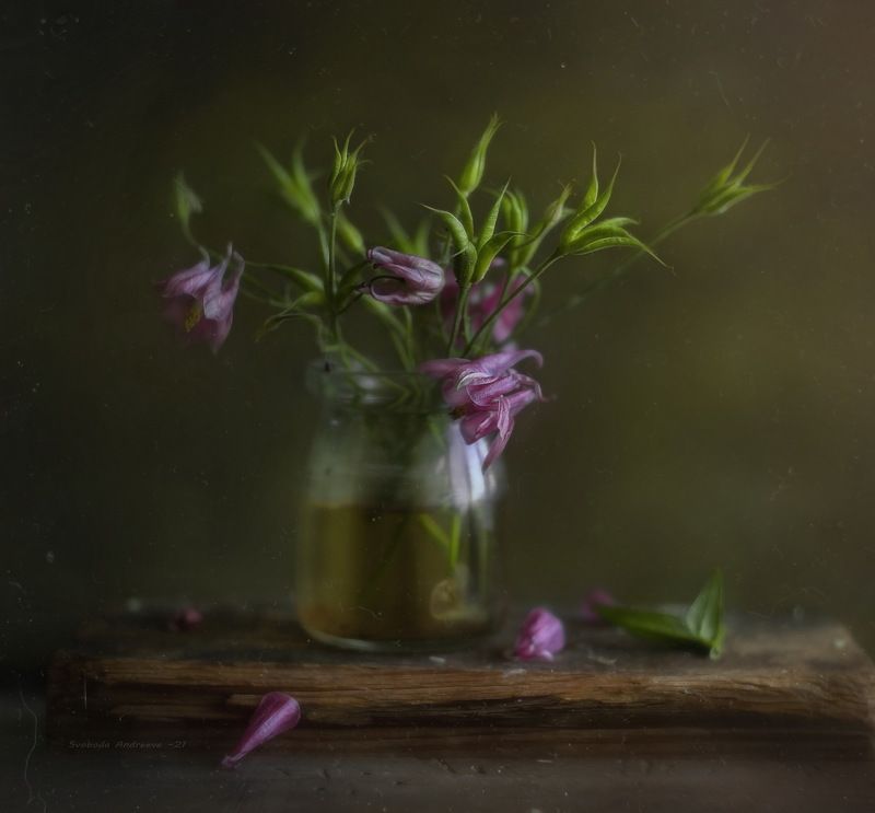 летним днём*photo preview