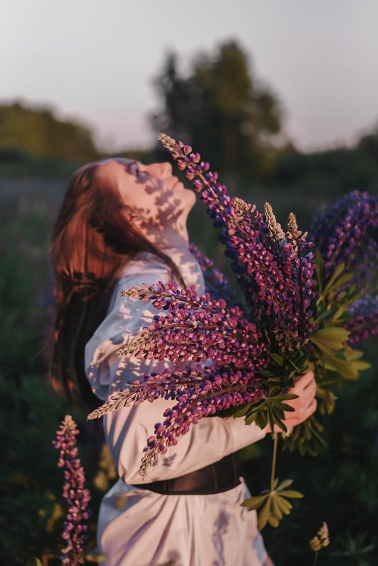 люпиныphoto preview