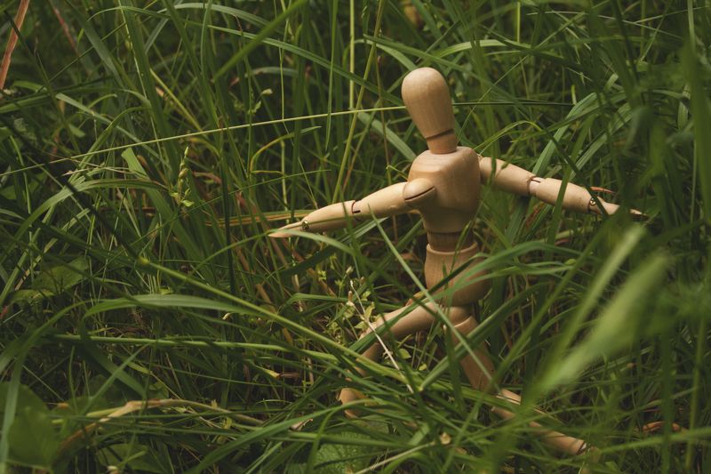 сквозь луговые травы фото превью