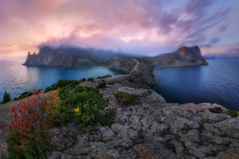 New Worldphoto preview