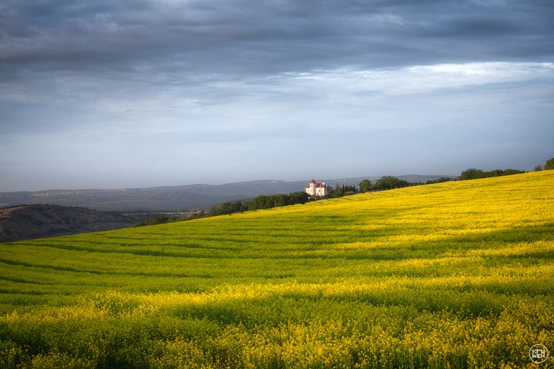 крым, балаклава, поле Рапсовое поле в Балаклавеphoto preview