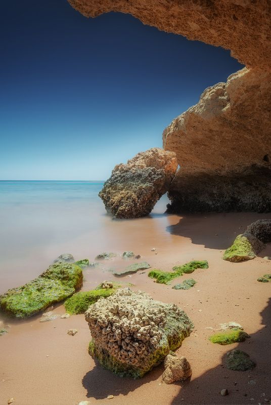 красное море, пейзаж, отлив, море, путешествие, travel, landscape, seascape, africa Красное мореphoto preview