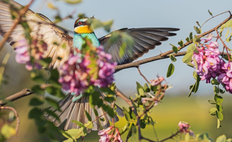 Розовый домphoto preview