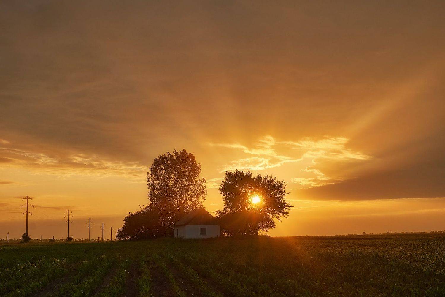 Автор: Леонид Морозов #nature, #туман, #лес, #oсень, #украина, #карпаты, #пейзаж, #закат, #туман, #солнце, #свет, #mountain range, #mountains, #туризм, #лес, #nature, #природа,, Леонид Морозов