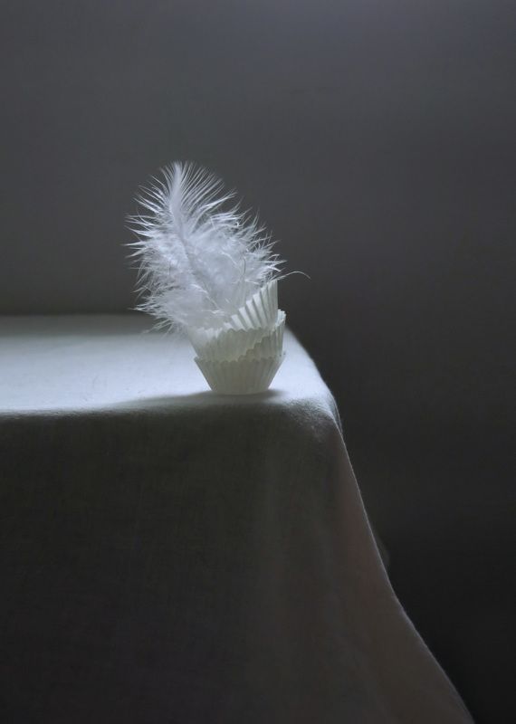 С перышкомphoto preview