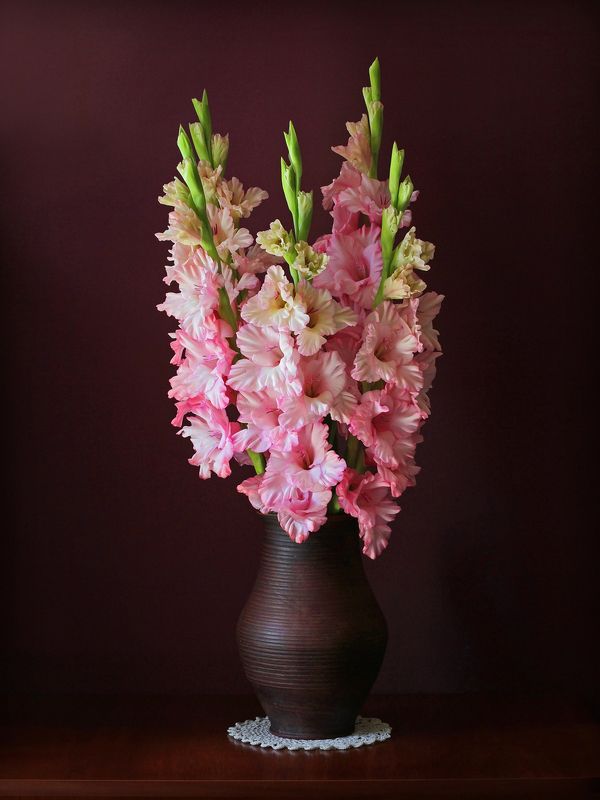 Гладиолусыphoto preview