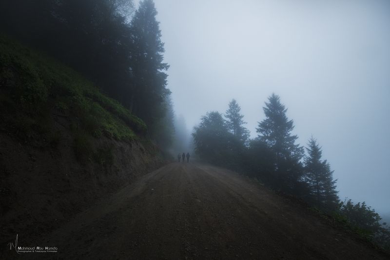 TRABZONphoto preview