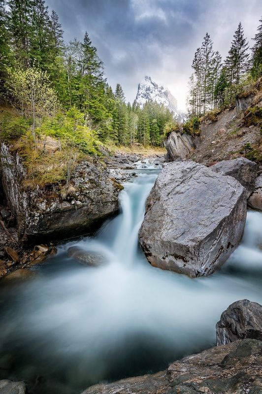 Wellhornphoto preview