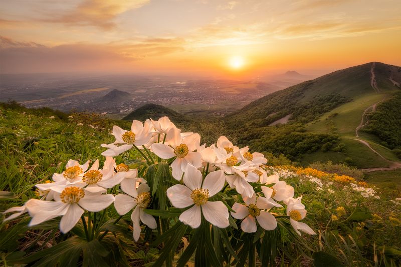 россия, кавказ, кмв, лермонтов, весна, бештау, горы Весенний вечер фото превью