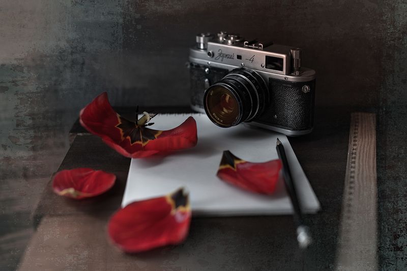 ретро, ретро камера, зоркий, лепестки тюльпана Про ретро с лепесткамиphoto preview