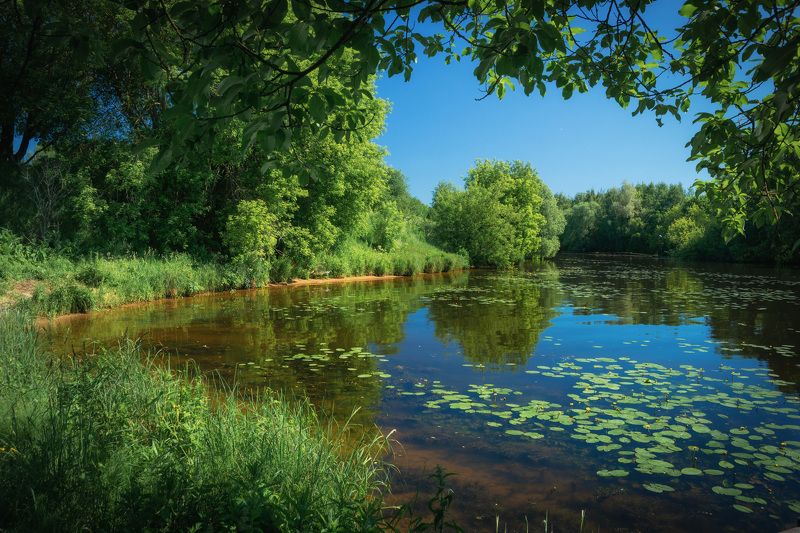 Канал им.Москвыphoto preview