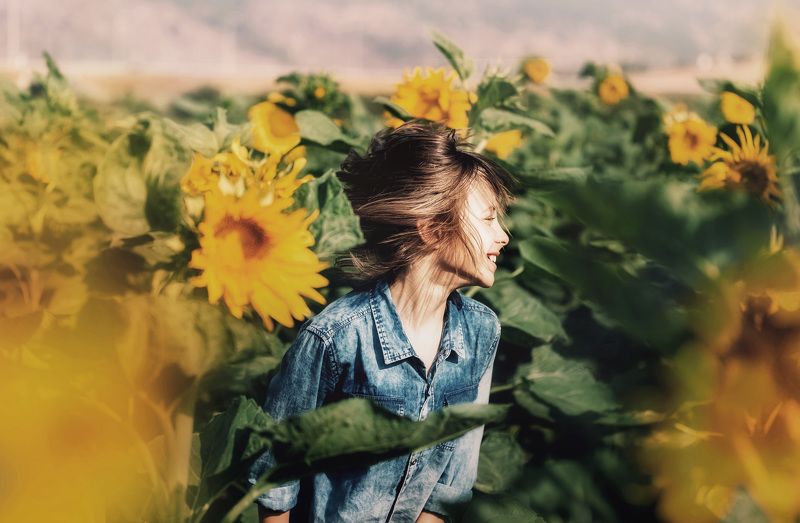 Подсолнухиphoto preview