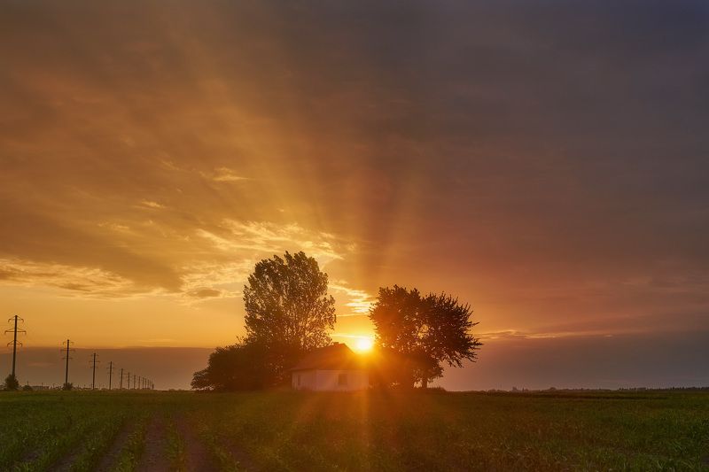 #landscape #nature #scenery #forest #wood #autumn #mist #misty #fog #foggy #river #waterfall #longexposure #mountain #vitosha #bulgari #aтуман #лес #oсень photo preview