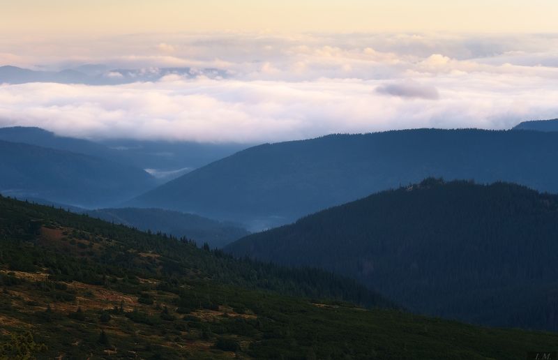 осень, карпаты, пейзаж, путешествие, туман, утро, вечер, горы, облака, панорама, mist, morning, autumn, landscape, carpathians, ukraine, chornogora, mountains, fog, misty, colors, fall Осенние этюды Карпатphoto preview