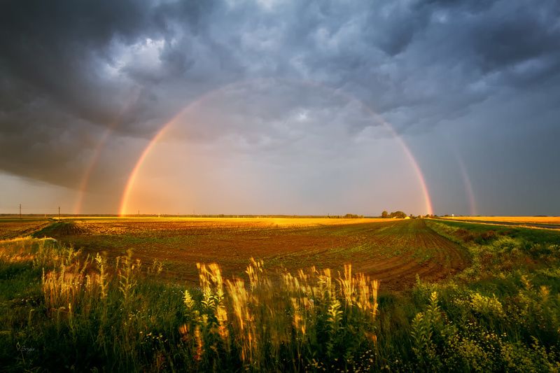 Беларусь Лету- бытьphoto preview