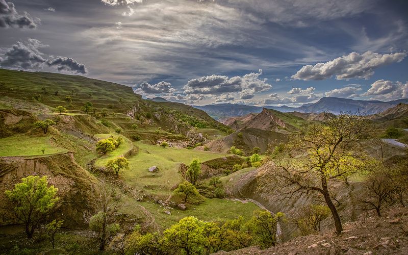 В горах Дагестанаphoto preview