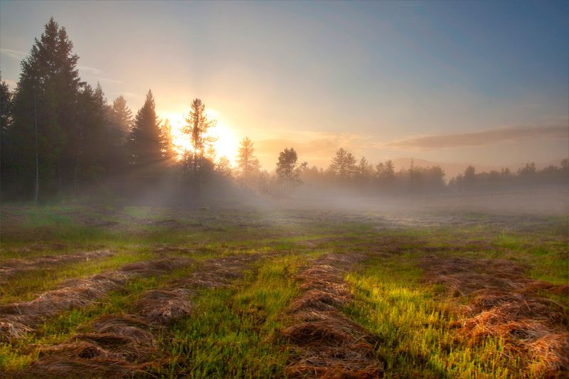 Вдохновение раннего утраphoto preview