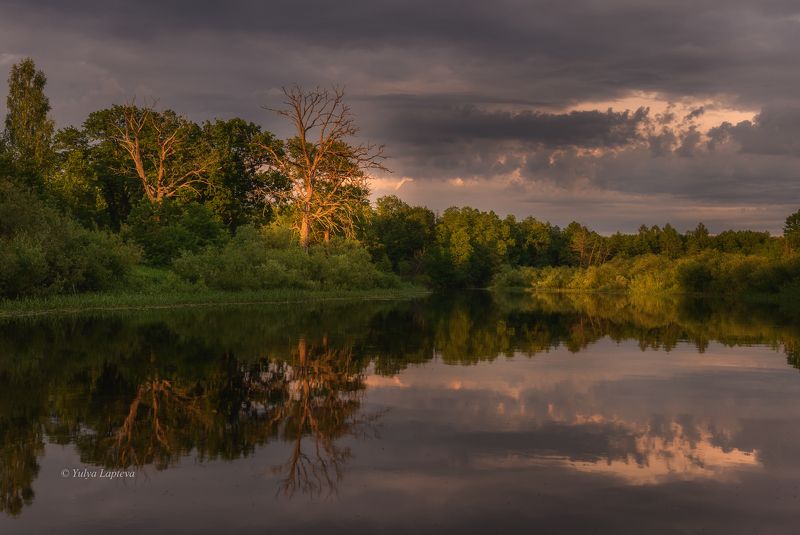заповедник \