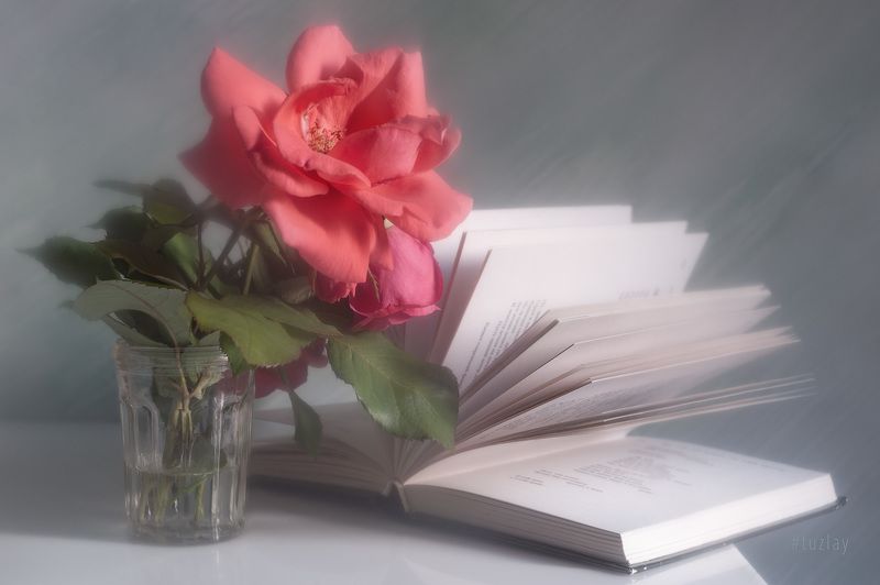 розы, книги, книга Продолжая книжно-розочную тему...photo preview