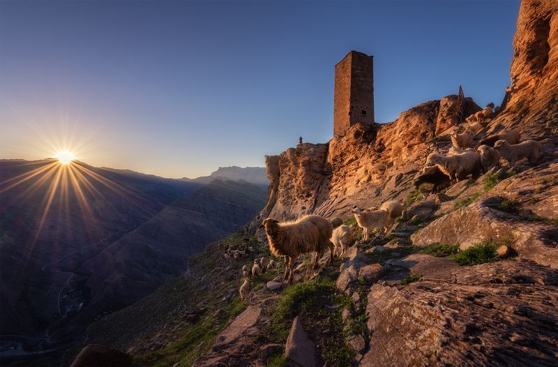 Россия, Кавказ, Дагестан, горы, пейзаж, пейзажироссии, природа, путешествия, Гоор, весна Сторожевые башни высокогорного села Гоор фото превью