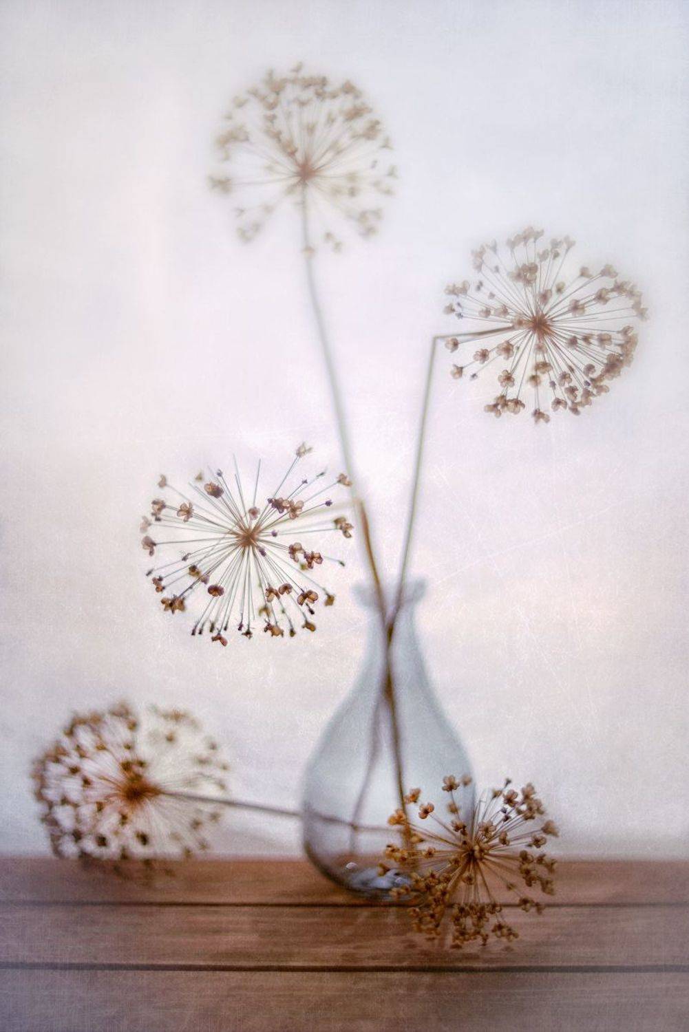 , Марина Никифорова