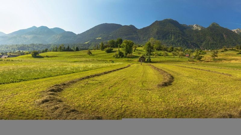 словения, трава, сено, поле, горы, альпы, домик, Предгорья Альп. Жизнь в деревне. Словения.photo preview