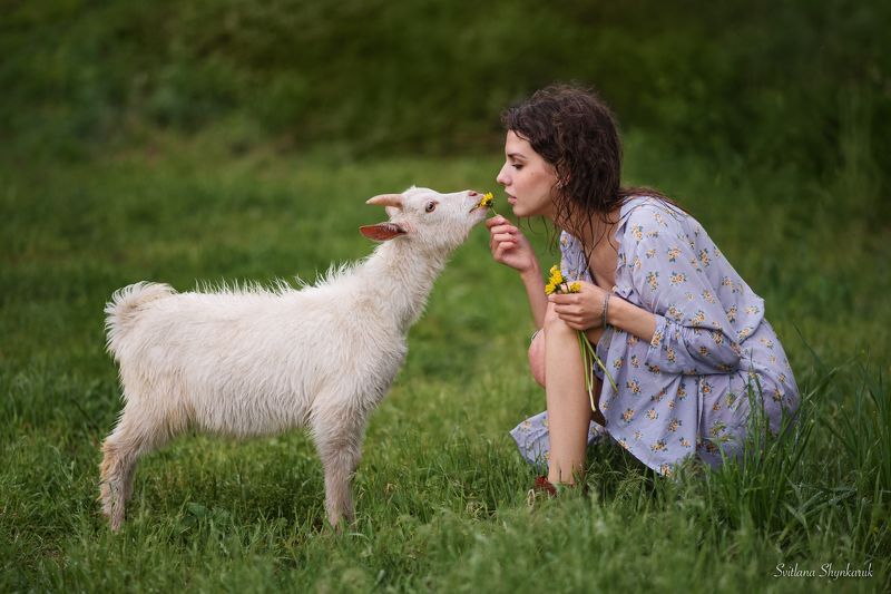 beauty, summer, emotion, portrait, animal, raining Bon appetitphoto preview