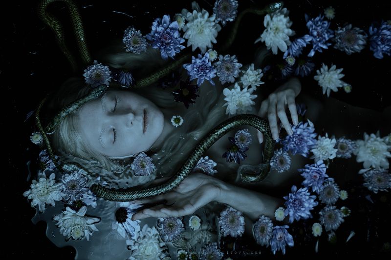 dark, canon, art, snake, horror Ч е рн ы е   в о д ы  photo preview