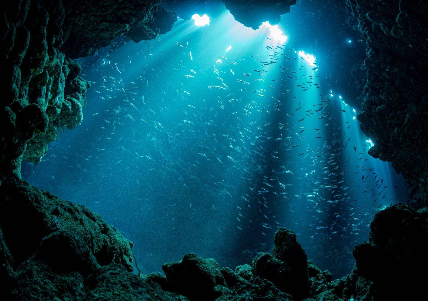 underwater, cavern, cave, diving, underwater photography, landscape, mystic, water, fish, rock, Nadya Kulagina