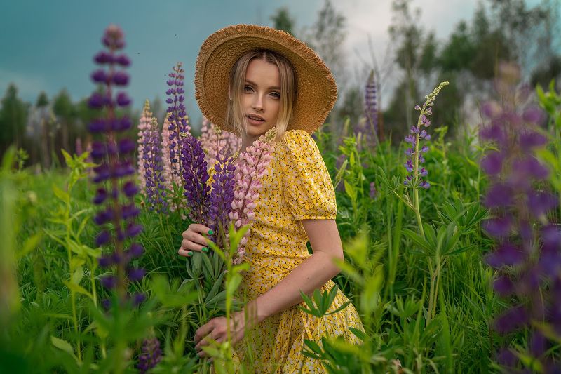 Люпиныphoto preview