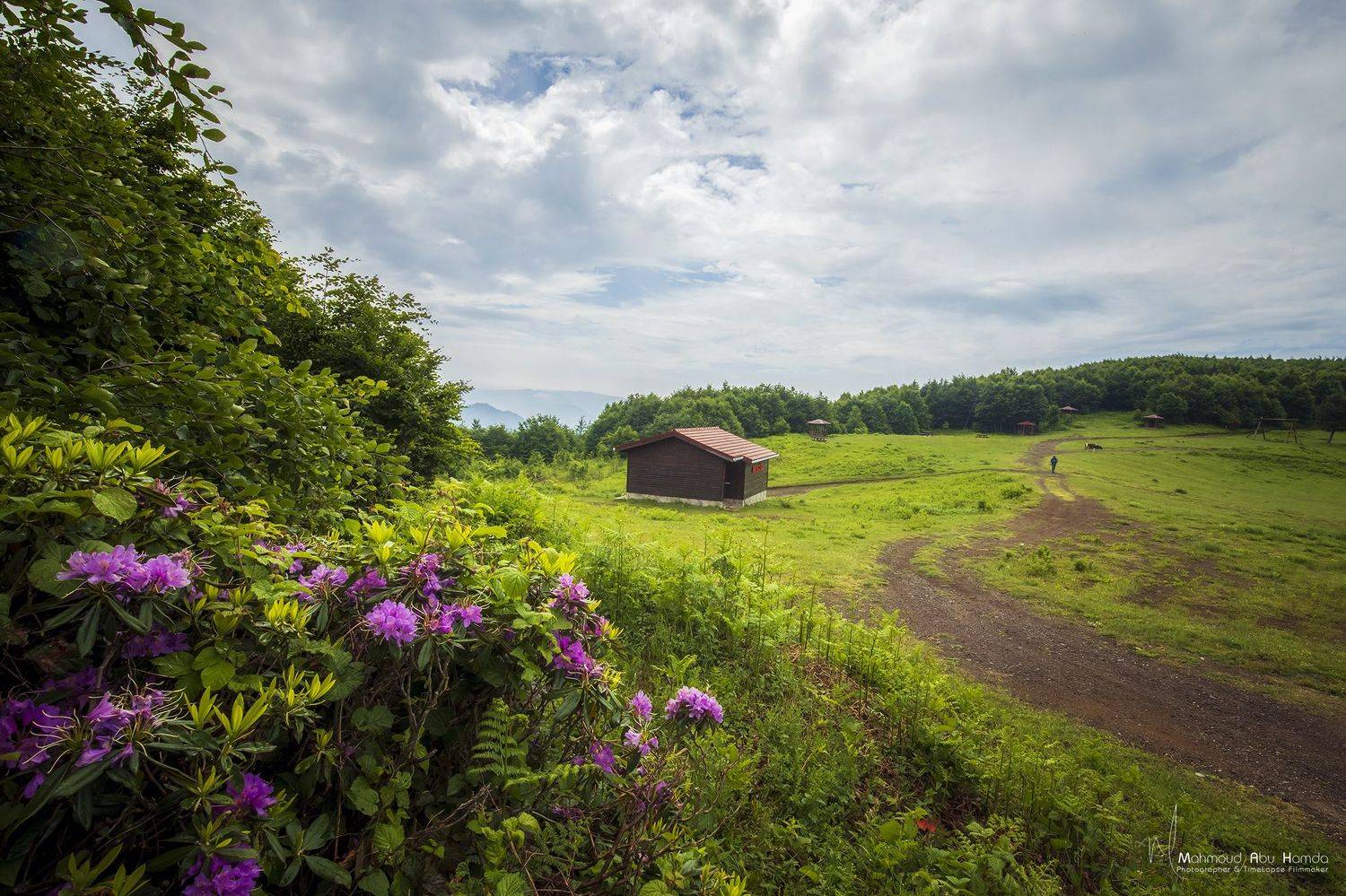 , Махмуд Хамда