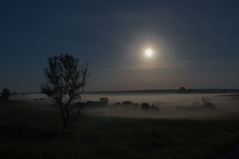 Полнолуниеphoto preview