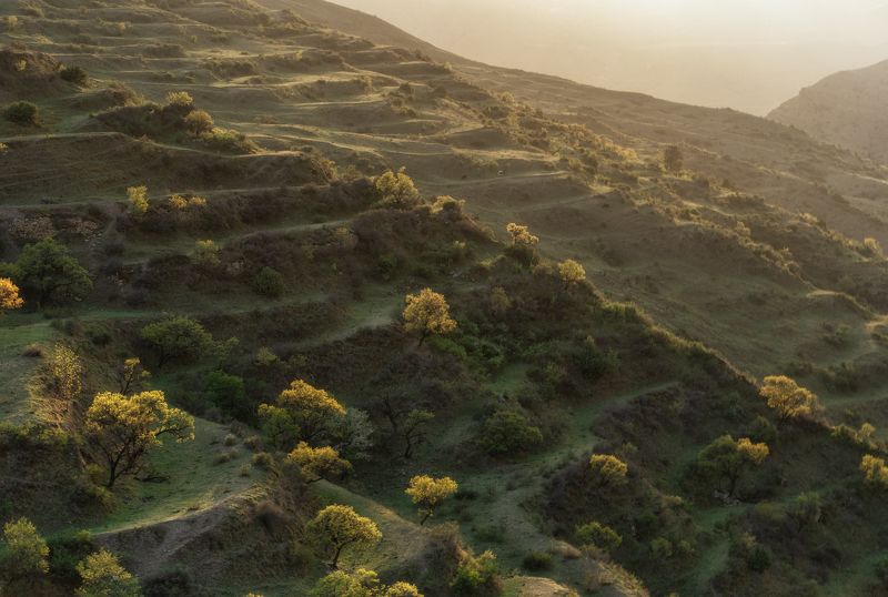 Дагестан, Чох, Гуниб, террасы Чохские террасыphoto preview