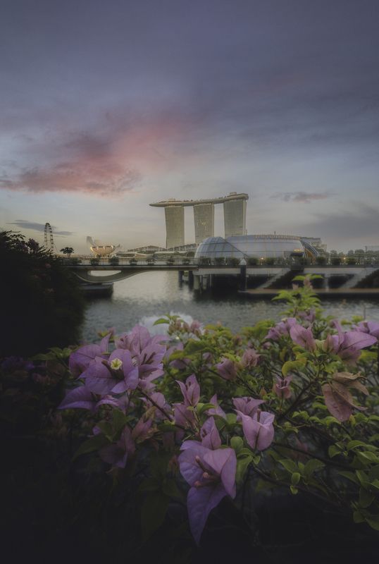 Singapore, Cityscape, city and architecture, architecture, city, asia Singaporephoto preview