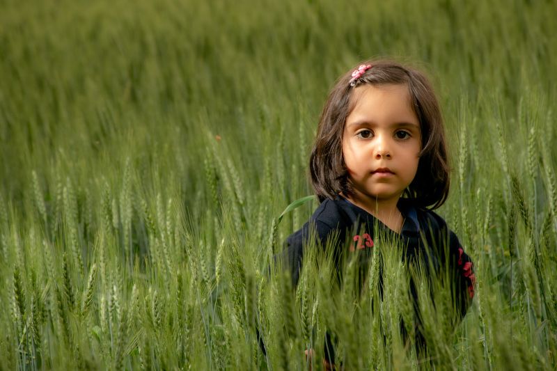 Little Girl in Farm фото превью