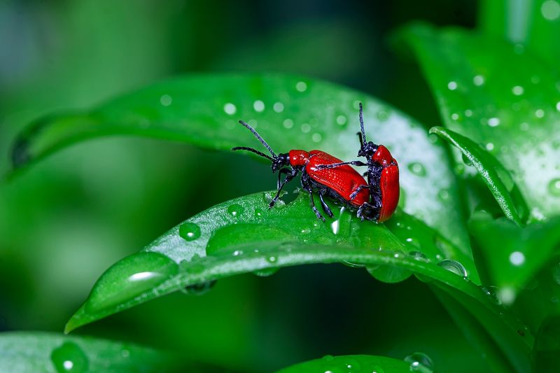 Ю-хууу!!!photo preview