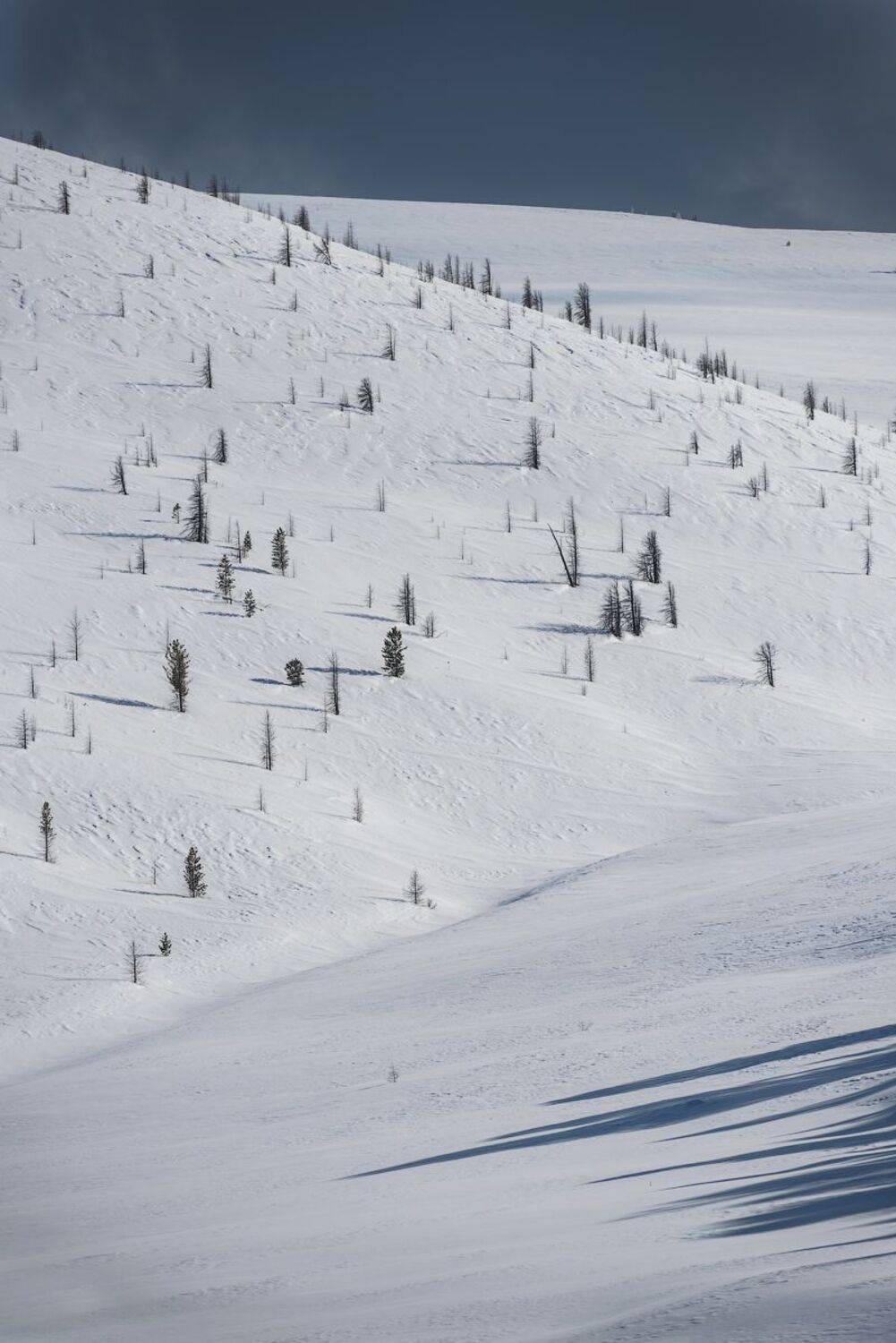 .... Автор: Кутыгин Эдуард Тыва Тува Тоджа Тожа, Кутыгин Эдуард