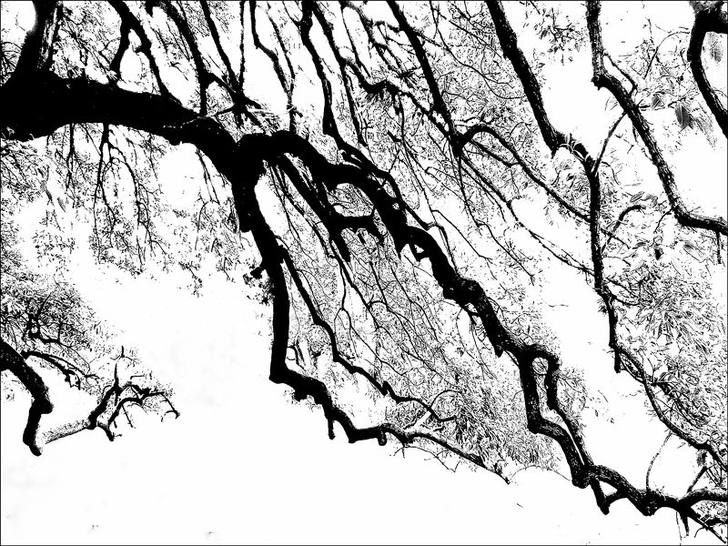 Winter Timephoto preview