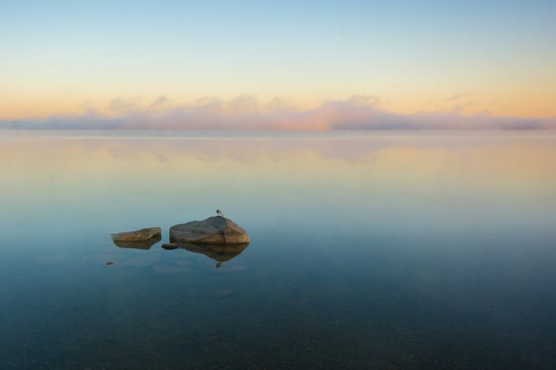 озеро камни урал пейзаж утро птица Утренняя безмятежностьphoto preview