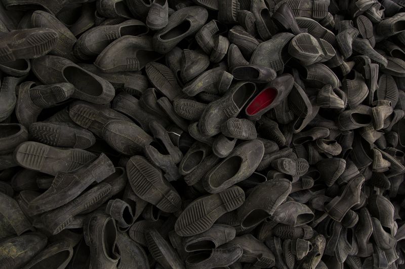 extinctionphoto preview