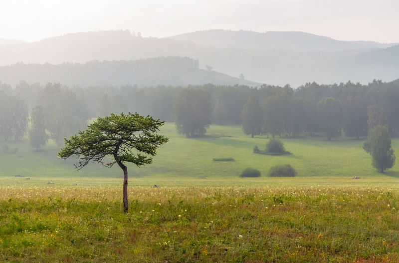 утро, рассвет, восход, туман, лучи photo preview