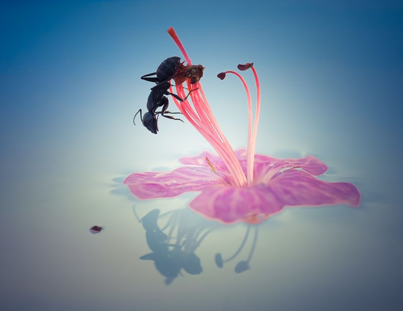 Morning toiletphoto preview