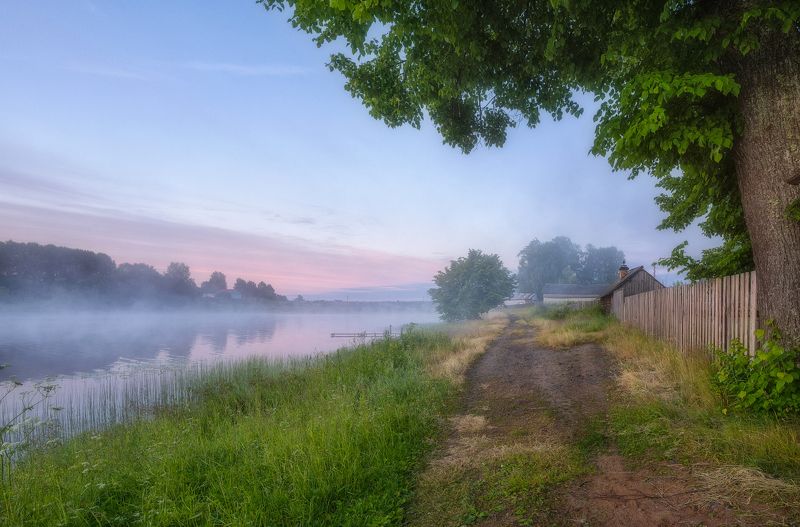 Свежесть летнего утраphoto preview