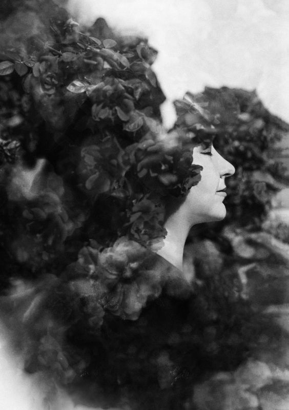 чб,портрет,розы Rosariumphoto preview