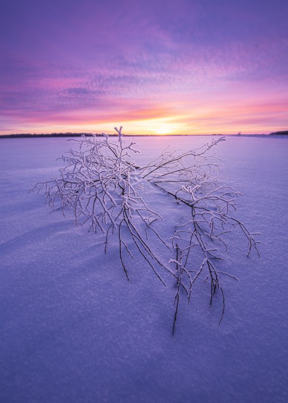 югра, хмао, ханты-мансийский автономный округ Декабрьский закатphoto preview