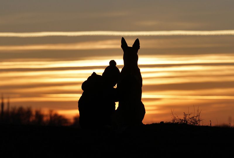 Провожая уходящий деньphoto preview