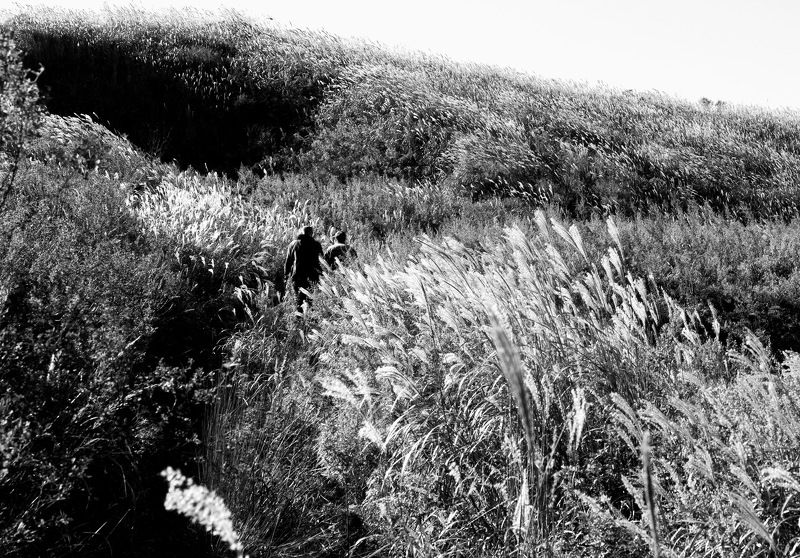 и такая стихия... photo preview